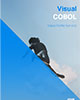 Visual COBOL 價值分析服務